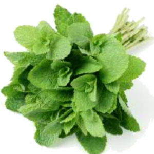 Mint 1 Bunch